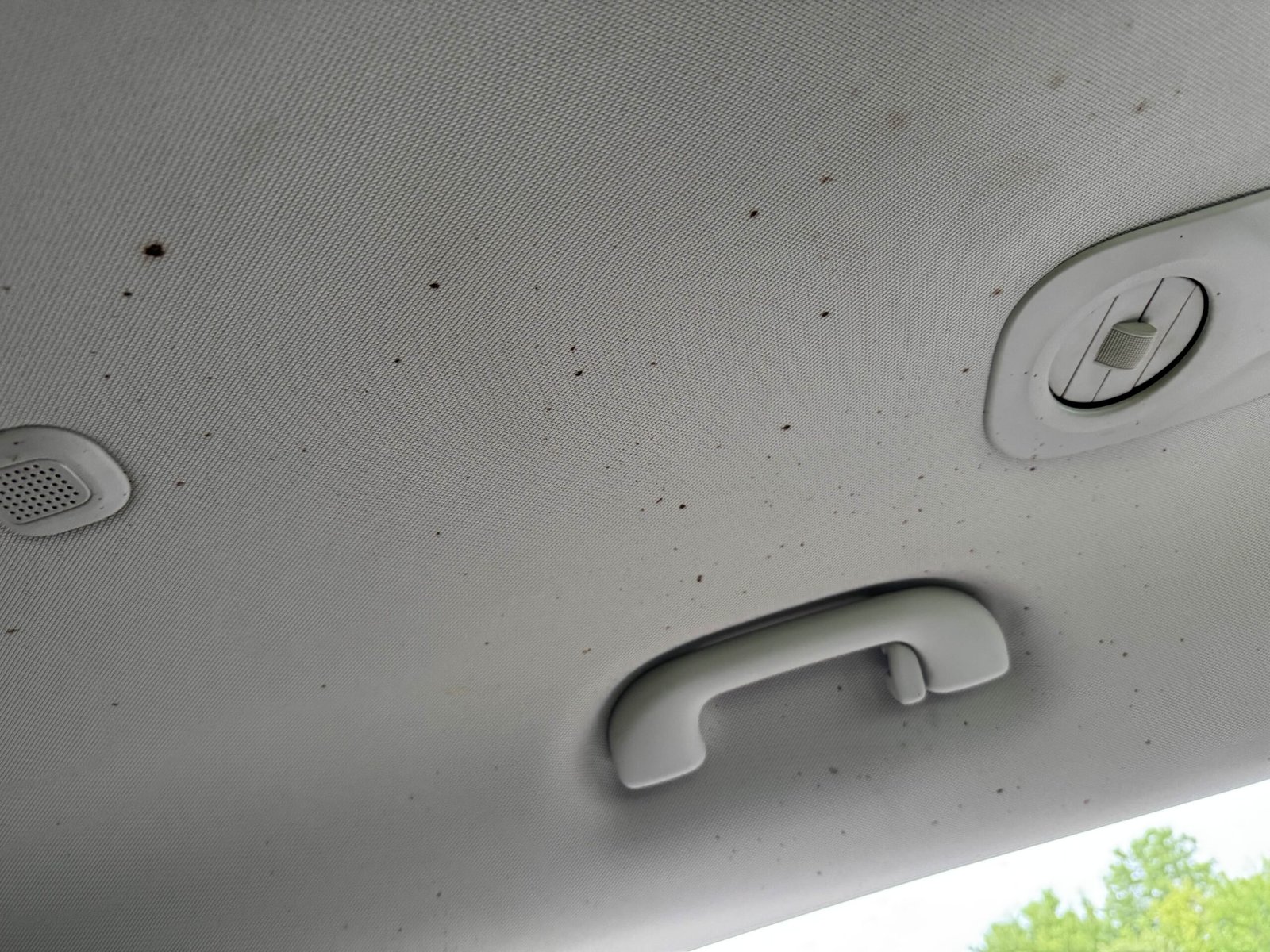 Before Image AutoShine Detailing